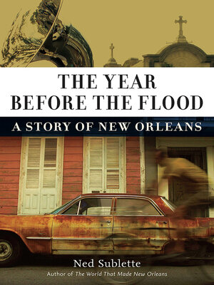 cover image of The Year Before the Flood